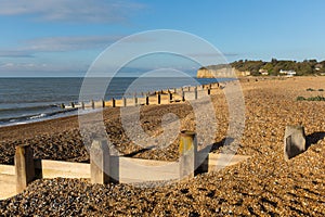 Pett beach near Fairlight Wood, Hastings East Sussex England UK