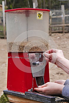 Petting Animals Food Dispenser