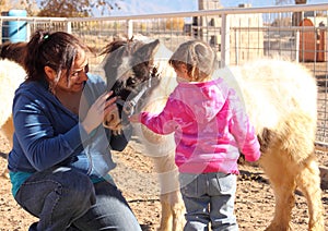 Petting a Miniature Horse