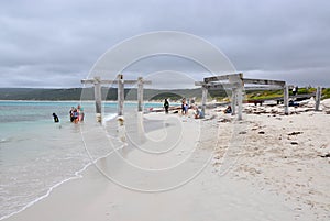 Petting Sting Rays at Hamelin Bay