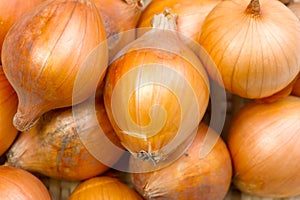 Petty onion