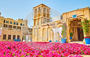 Petunia flower beds in old Dubai, UAE