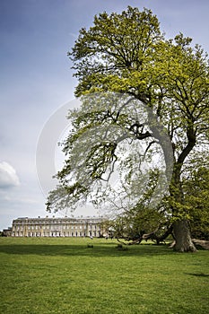 Petworth House and grounds in Sussex