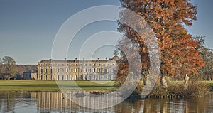 Petworth stately home with lake an golden tree in autumn