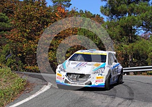 Peugeot 207 during the 32 ÃÂ° Rally Lantern
