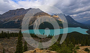 Peyto Lake