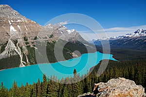 Peyto Lake