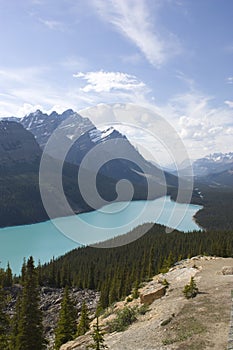 Peyto Lake photo