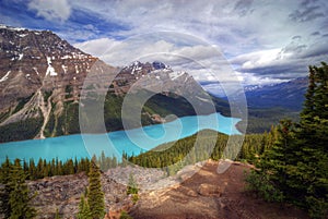 Peyto Lake photo