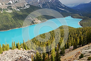 Peyto lake