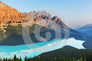 Peyto lake