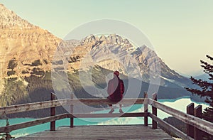 Peyto lake