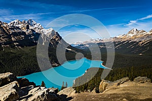 Peyto Lake