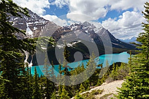 Peyto Lake in Alberta, Canada