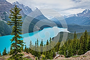 Beautiful Peyto Lake Alberta Canada photo