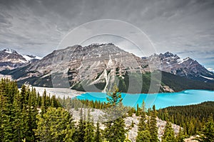 Peyto Lake Alberta Canada