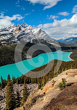 Peyto Lake