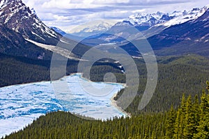 Peyto Lake-Banff photo