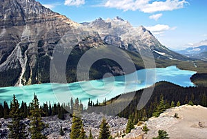Peyto Lake Banff