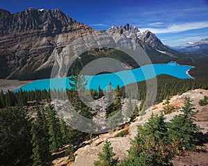 Peyto Lake in Banff Canada