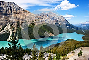 Peyto Lake Banff