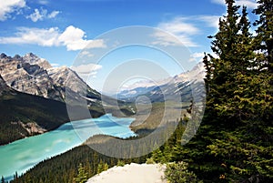 Peyto Lake Banff photo