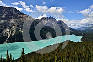 Peyto Lake Banff National Park