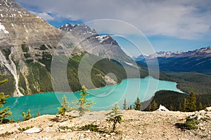 Peyto Lake, Banff National Park