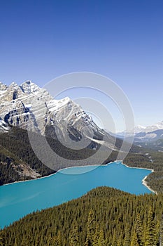 Peyto Lake Banff National Park Alberta