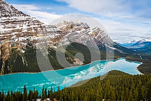 Peyto lake in Banff national park Alberta Canada