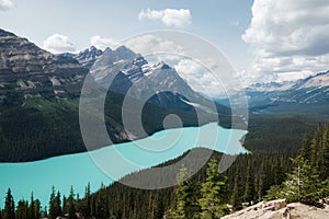 Peyto Lake in Banff National Park, Alberta, Canada