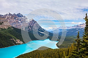 Peyto Lake- Banff National Park- Alberta- Canada.