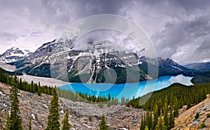 Peyto Lake in Banff National Park, Alberta, Canada