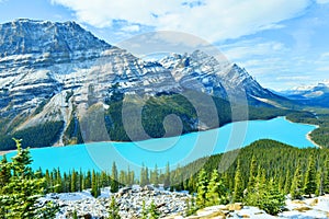 Peyto lake in Banff National Park ,canada