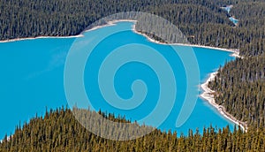 Peyto Lake, Banff National Park, Canada