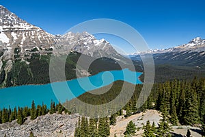 Peyto Lake in Banff National Park in Canada