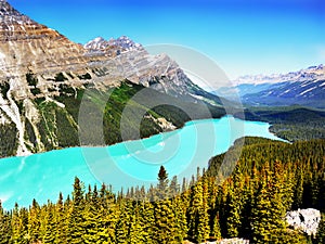 Peyto Lake, Banff National Park, Canadian Rockies