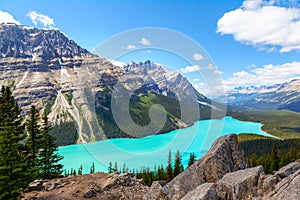 Peyto Lake in Banff National Park on Icefields Parkway photo