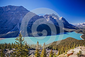 Peyto Lake, Banff National Park, Rocky Mountains, Alberta, Canad