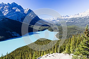 Peyto Lake, Banff National Park, Rocky Mountains, Alberta, Canad