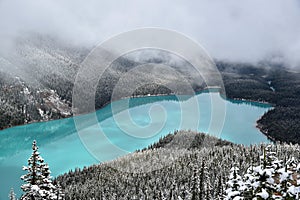 Peyto Lake Banff National Park photo