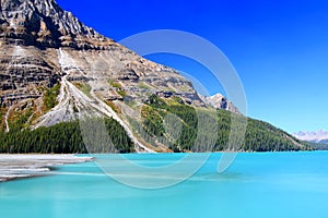 Peyto Lake in Banff Park photo