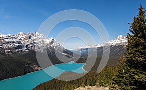 Peyto Lake and Caldron Peak