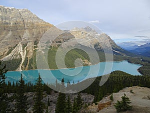 Peyto Lake in Canada