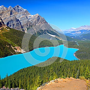 Peyto Lake of Canada