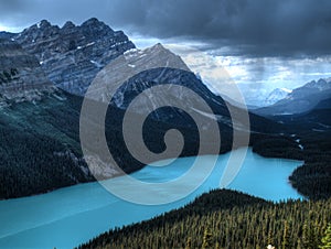 Peyto lake in Canada