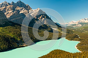 Peyto Lake Canada National Park