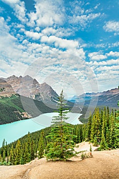 Peyto Lake in the Canadian Rockies, Alberta, Canada