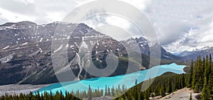 Peyto Lake on the Icefields Parkway, Banff National Park, Canada