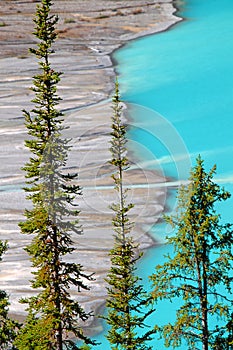 Peyto Lake Landscape Canada